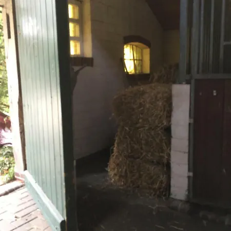 Daire Dat Ole Tetke Hus Zetel