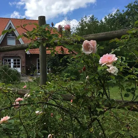 Dat Ole Tetke Hus *